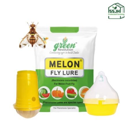 Melon Fly Lure