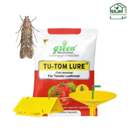 Tu-tom Lure