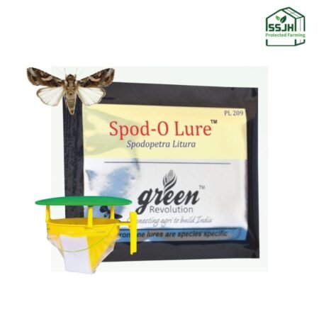 Spod-O Lure