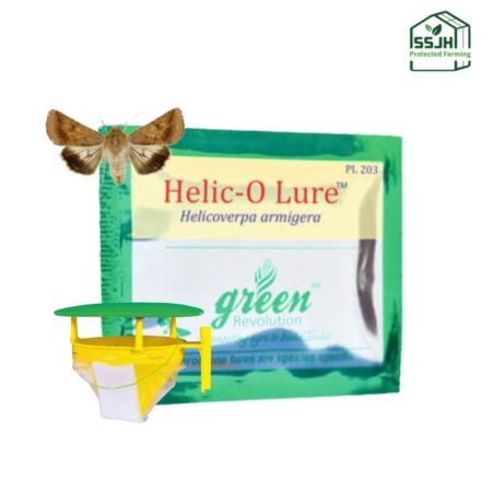 Helic-O Lure