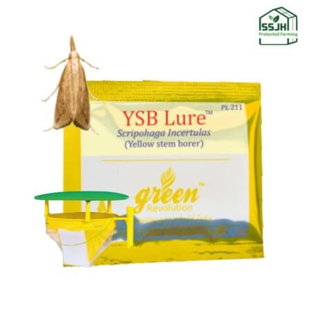 YSB Lure