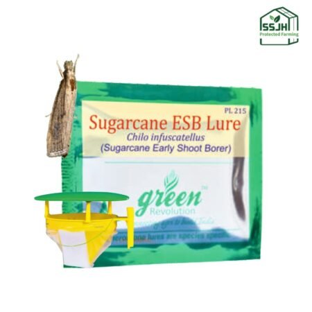 Sugarcane ESB Lure