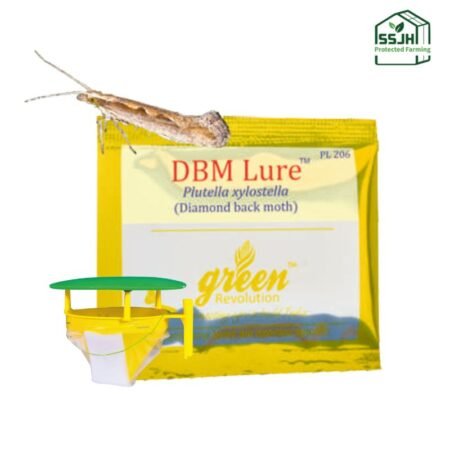 DBM Lure