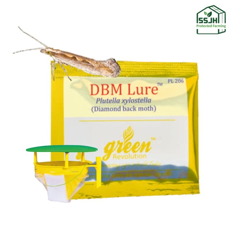 DBM Lure