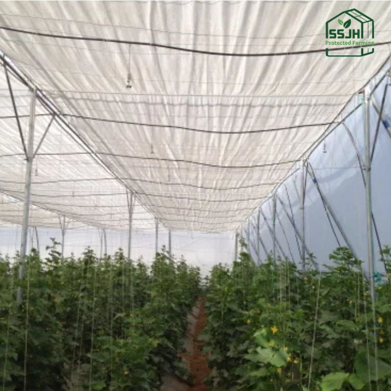 Aluminate net for greenhouse by SSJH Protected Farming Proprietary Limited used for crop protection and UV shielding.
