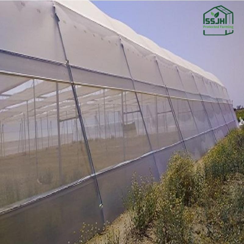Anti bird net for greenhouse by SSJH Protected Farming Proprietary Limited providing crop protection from birds.
