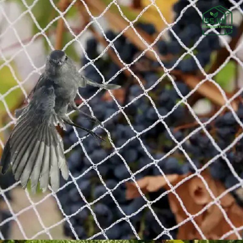 Best anti bird net in Botswana by SSJH Protected Farming Proprietary Limited for crop and farm protection