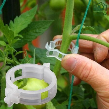 Tomato clip used for vine support in a greenhouse by SSJH Protected Farming Proprietary Limited