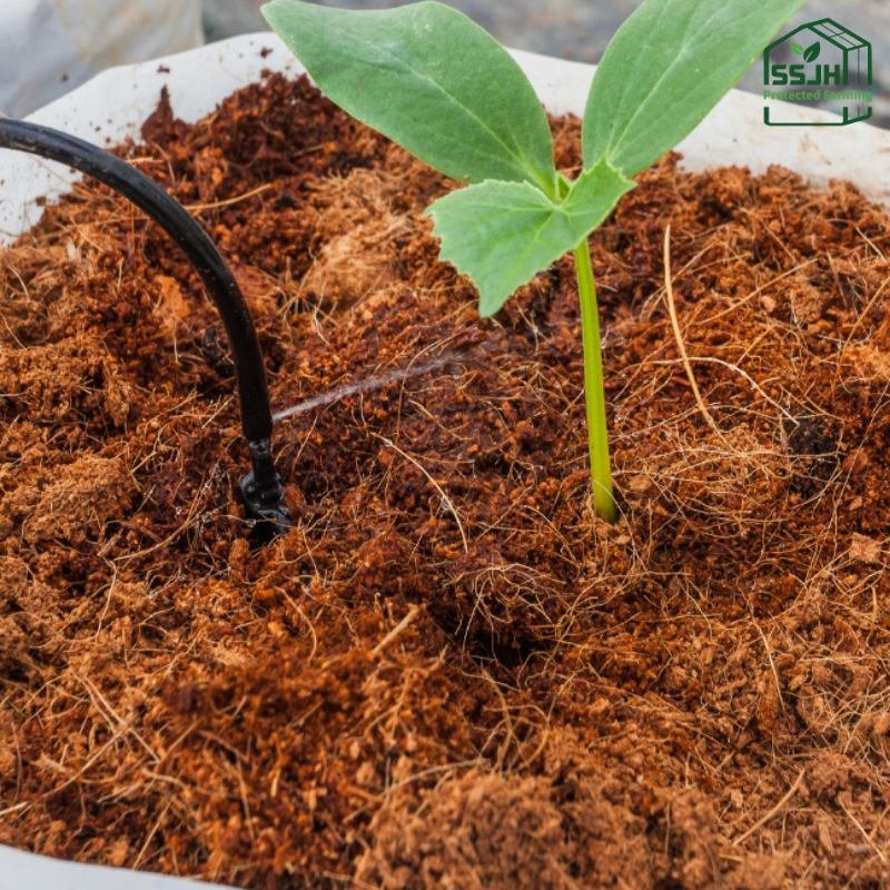 Coco peat soil growing medium by SSJH Protected Farming Proprietary Limited for hydroponic and sustainable agriculture