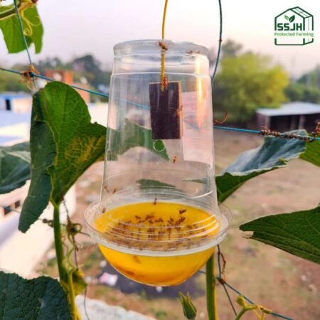Glass fruit fly trap for natural pest control in Botswana by SSJH Protected Farming Proprietary Limited