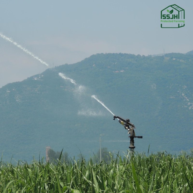 Best RainGun irrigation system in Botswana by SSJH Protected Farming Proprietary Limited