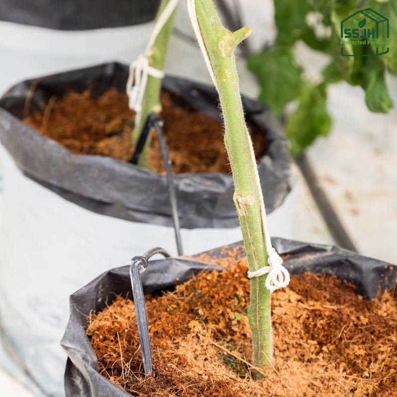 Compressed cocopeat block for plants by SSJH Protected Farming Proprietary Limited, used as organic soil alternative