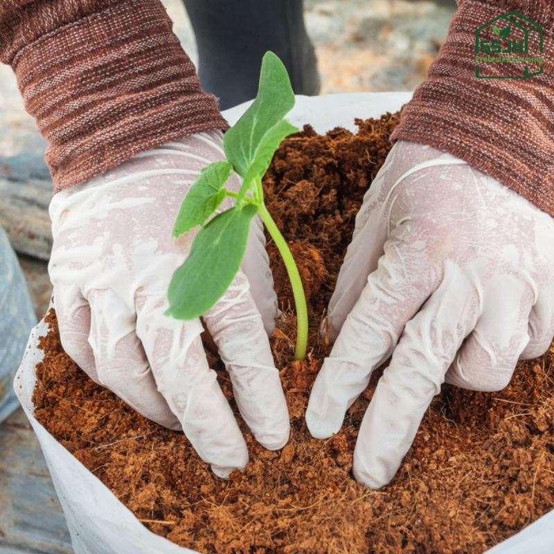 Leading cocopeat manufacturer in Botswana – SSJH Protected Farming Proprietary Limited