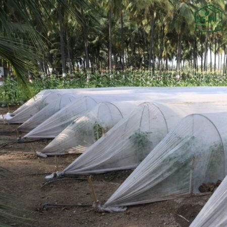 Top Crop Covers in Botswana – SSJH Protected Farming Proprietary Limited
