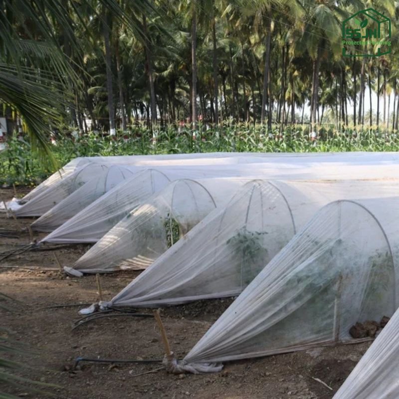 Top Crop Covers in Botswana – SSJH Protected Farming Proprietary Limited