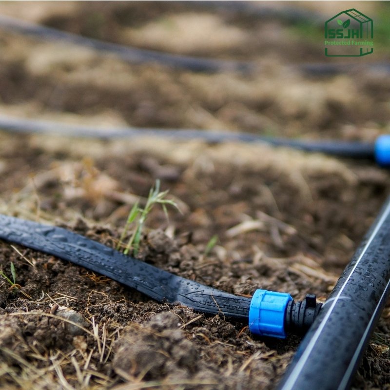 Drip irrigation system for greenhouse farming by SSJH Protected Farming Proprietary Limited ensuring efficient water use and sustainable crop growth.