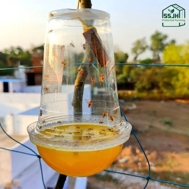 Fruit fly trap for plant pest control by SSJH Protected Farming Proprietary Limited used in garden and greenhouse farming