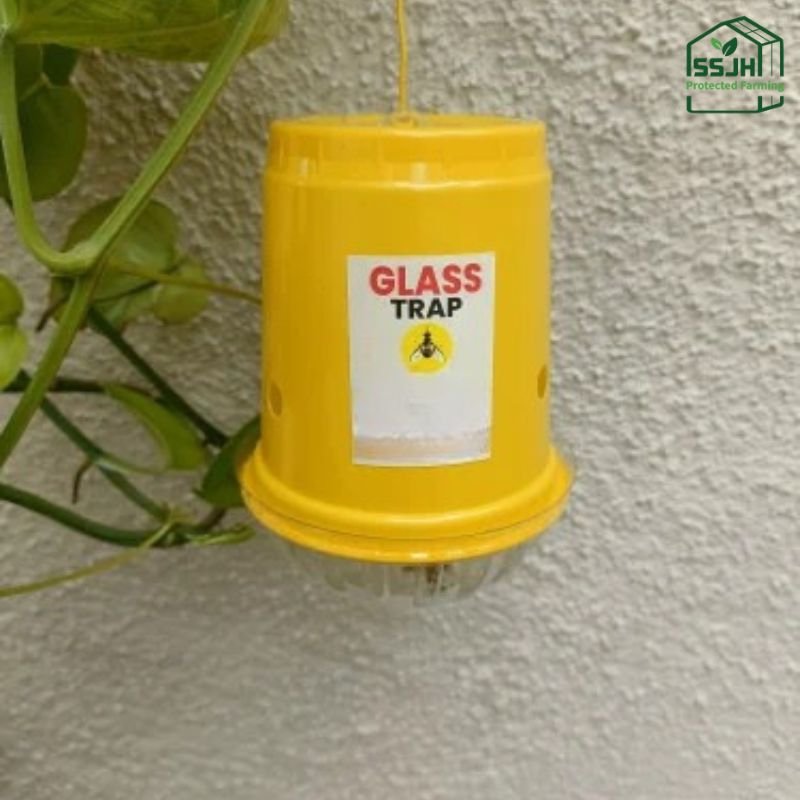 Top quality fruit fly trap for plant pest control in Botswana by SSJH Protected Farming Proprietary Limited