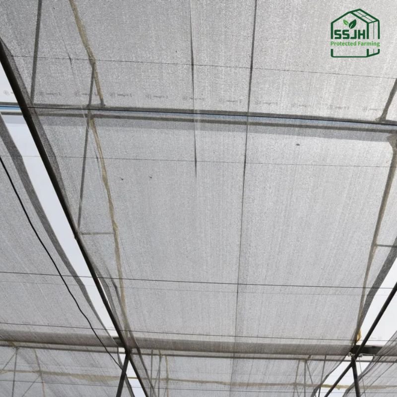 High-quality aluminate net for agricultural crop protection in Botswana by SSJH Protected Farming Proprietary Limited
