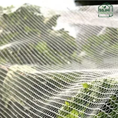 High-quality anti bird net in Botswana by SSJH Protected Farming Proprietary Limited for crop and farm protection