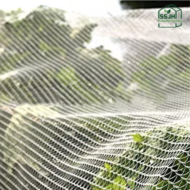 High-quality anti bird net in Botswana by SSJH Protected Farming Proprietary Limited for crop and farm protection