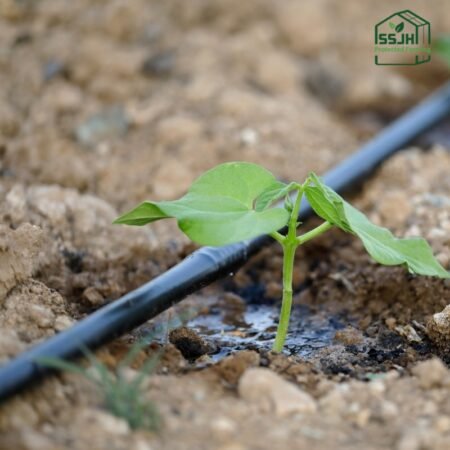 High-quality drip irrigation system for sustainable farming in Botswana by SSJH Protected Farming Proprietary Limited.
