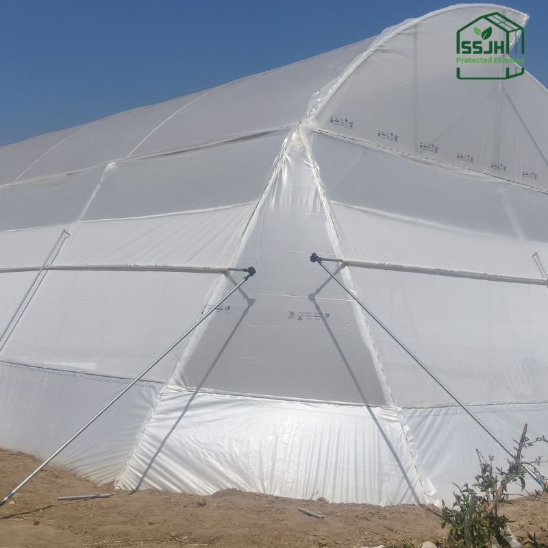 High-quality poly film for greenhouses in Botswana by SSJH Protected Farming Proprietary Limited