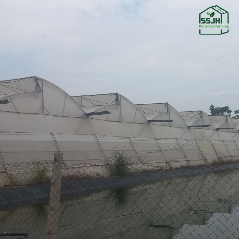 High-quality pond liner installation in Botswana by SSJH Protected Farming for water storage and agricultural use