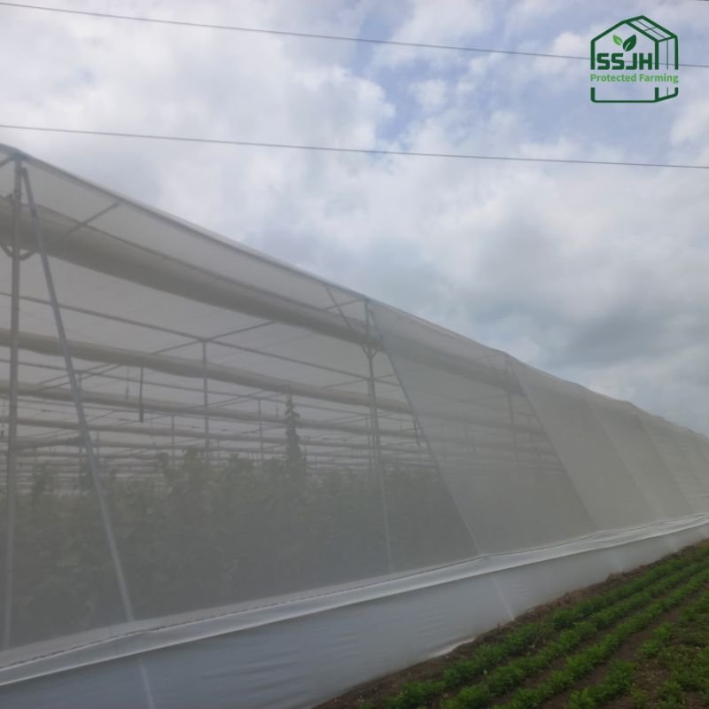 Insect net for greenhouse by SSJH Protected Farming Proprietary Limited for crop protection and sustainable farming.