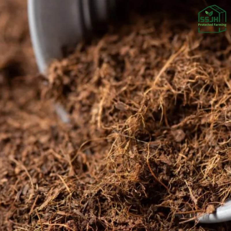 Coco Peat - Image 5