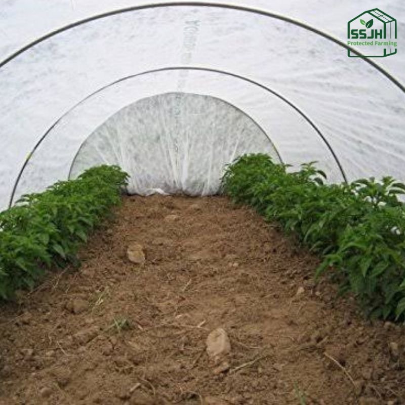 Low tunnel polyhouse structure by SSJH Protected Farming for protected cultivation in modern agriculture