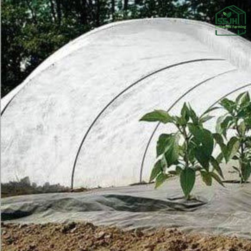 Top low tunnel crop cover by SSJH Protected Farming Pvt. Ltd. for modern agricultural protection in India