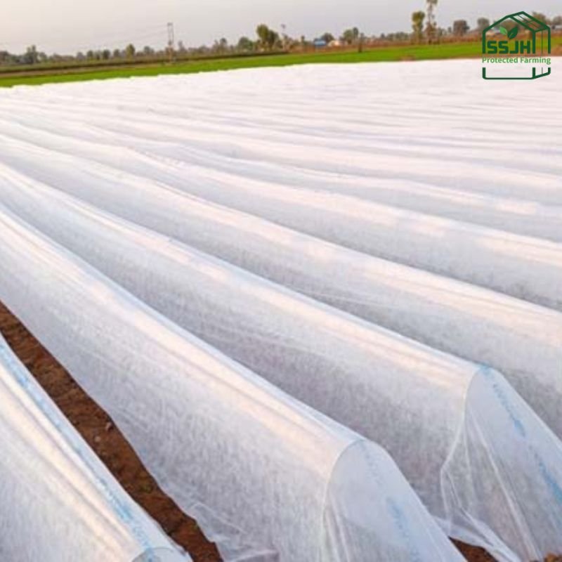 Plastic low tunnel crop cover protecting crops in Botswana, installed by SSJH Protected Farming Proprietary Limited