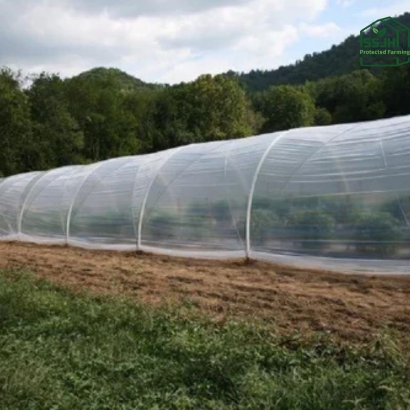 Low tunnel plastic covering installed by SSJH Protected Farming for crop protection and microclimate regulation in a farm field.