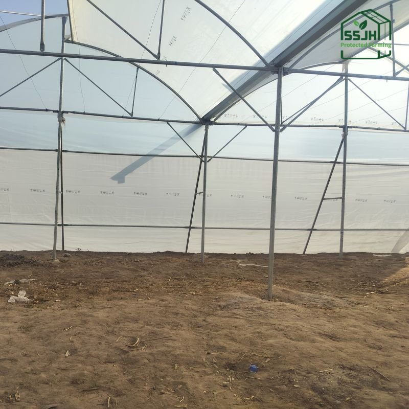 Poly film for greenhouse by SSJH Protected Farming Proprietary Limited providing durable crop protection and sustainable farming solutions
