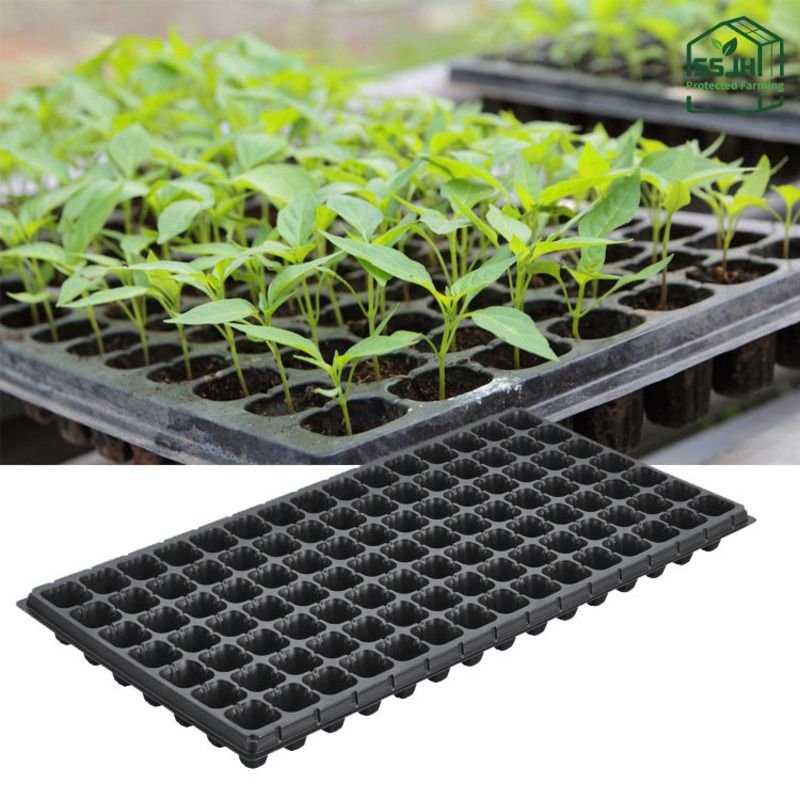 Seedling trays for plant propagation in Botswana by SSJH Protected Farming Proprietary Limited