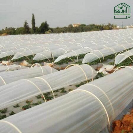 Low tunnel plastic structure for crop protection by SSJH Protected Farming Proprietary Limited, used in modern agriculture to shield crops from weather and pests