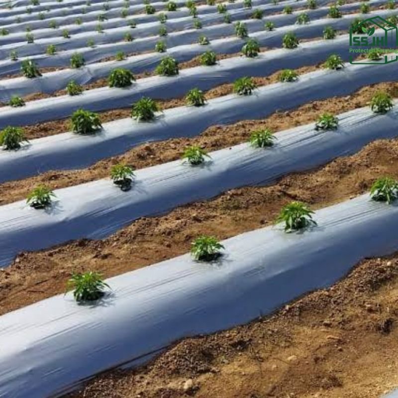 High-quality agricultural mulching sheets for weed control and soil protection, manufactured by SSJH Protected Farming Proprietary Limited.