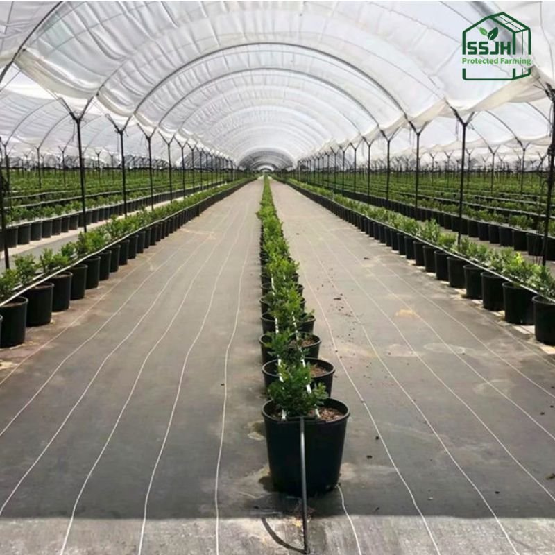 Weed mat for greenhouse by SSJH Protected Farming Proprietary Limited – durable ground cover for effective weed control and crop protection.