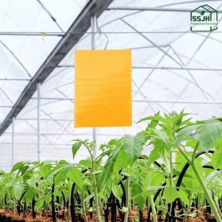 Sticky Pads by SSJH Protected Farming – Yellow insect traps for pest control in greenhouses and farms
