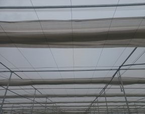 Agricultural shade net used for crop protection and temperature control in farming
