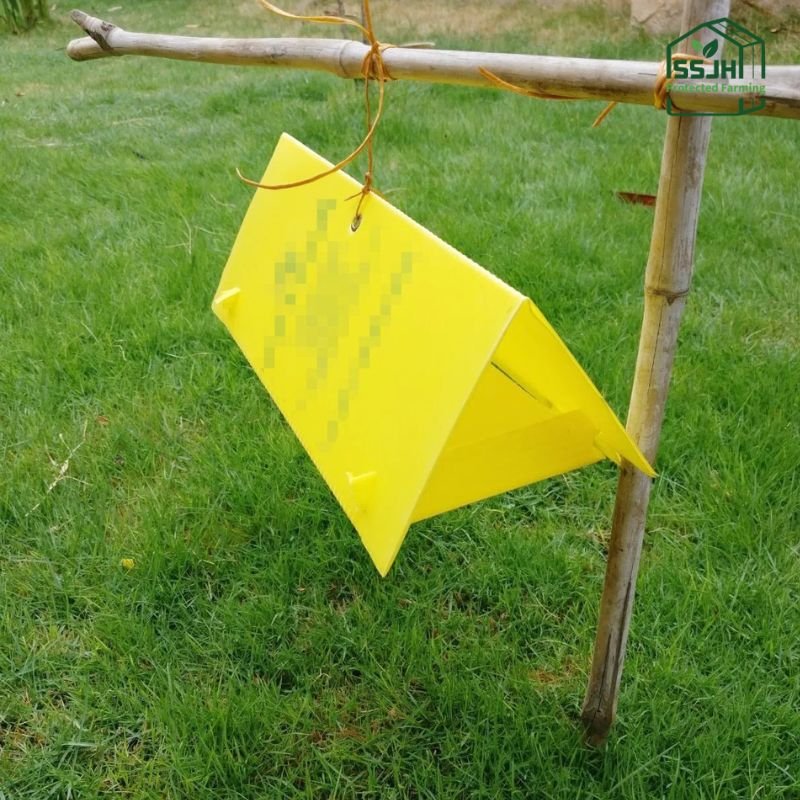 Delta Trap
