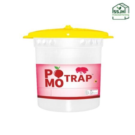 Pomo Trap