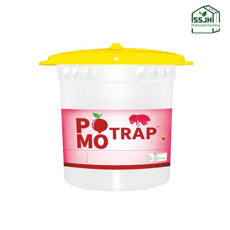 Pomo Trap