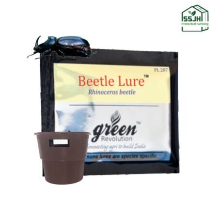 Beetle Lure