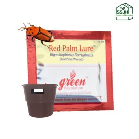 Red Palm Lure