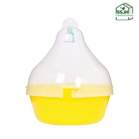 Maxplus Trap