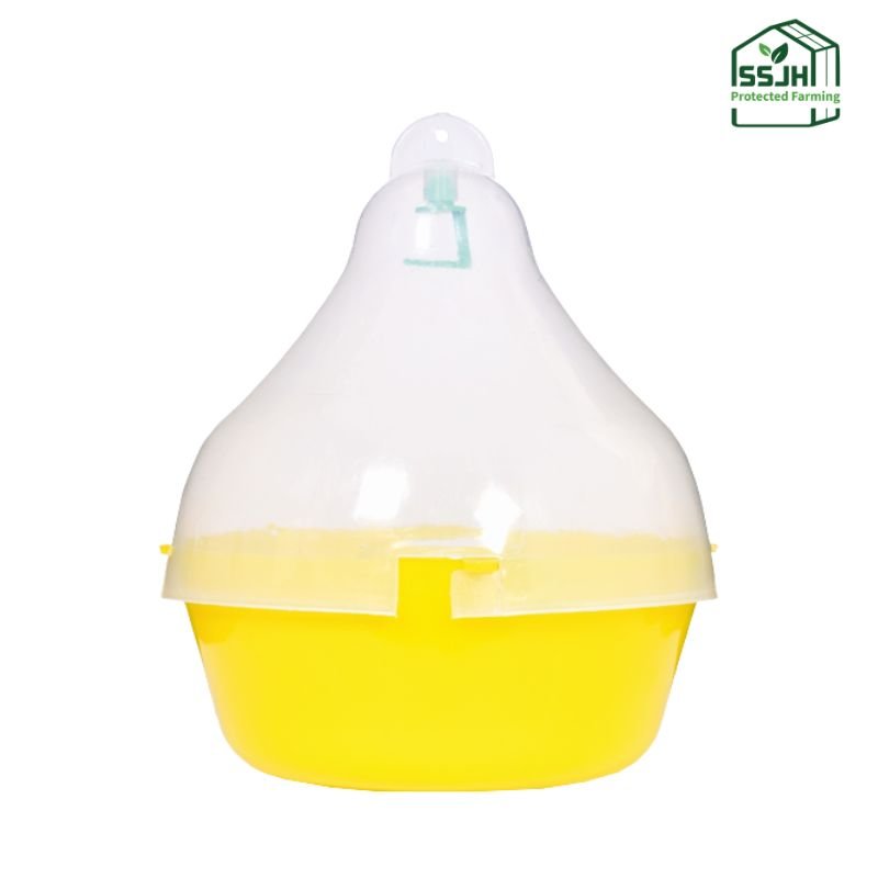 Maxplus Trap