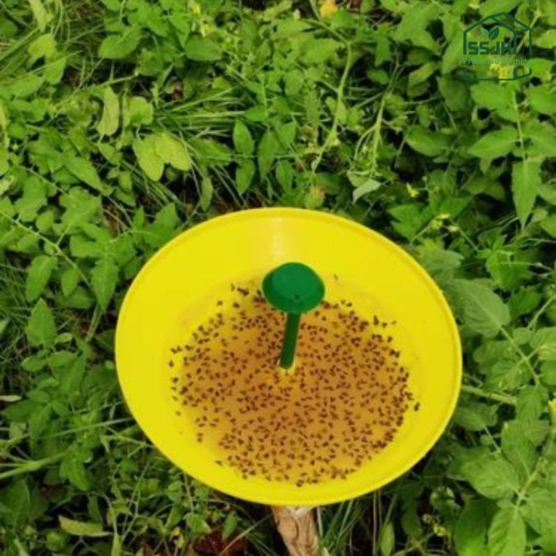 Water Trap